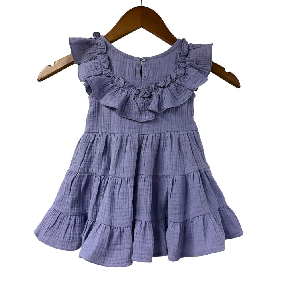 Isabella & Chloe Dress Periwinkle Ruffle 24M NWT